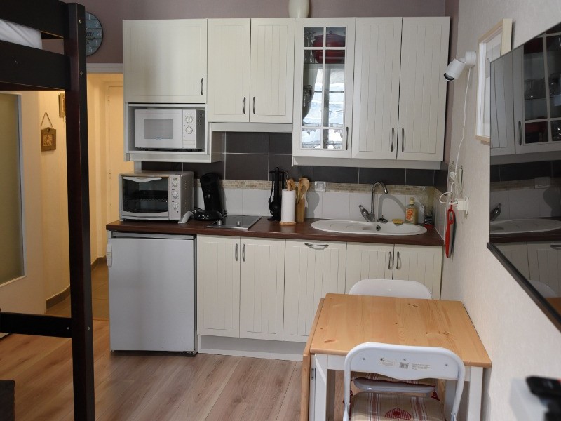 Le Nid douillet - Mont Dore - Pièce de vie - Cuisine