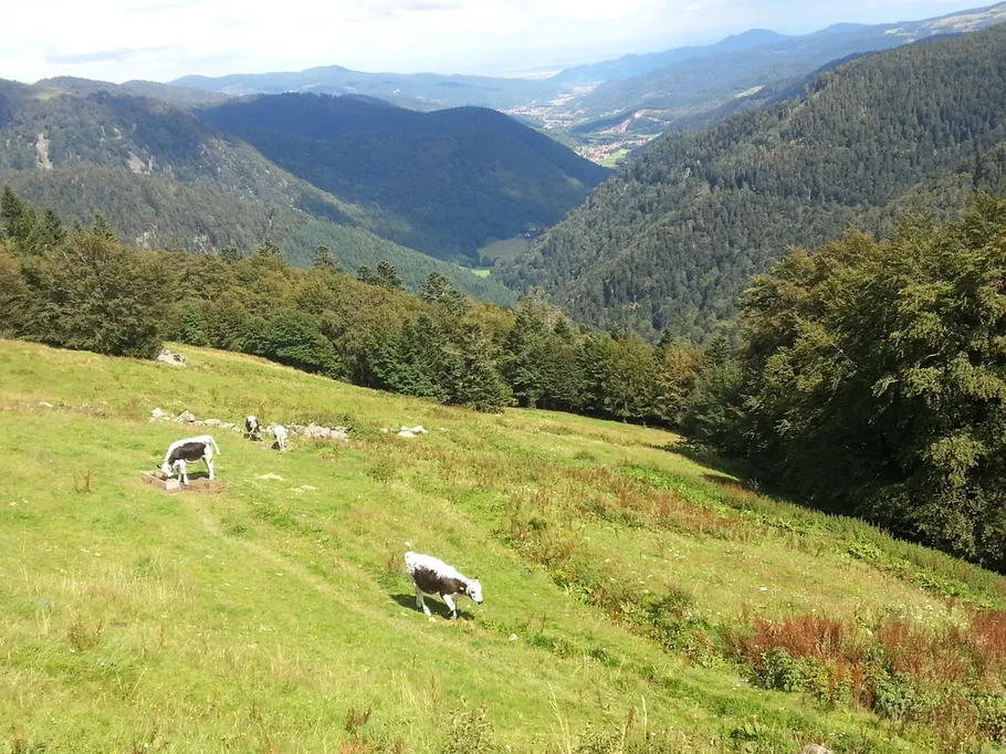 Photo n° 15 de la location