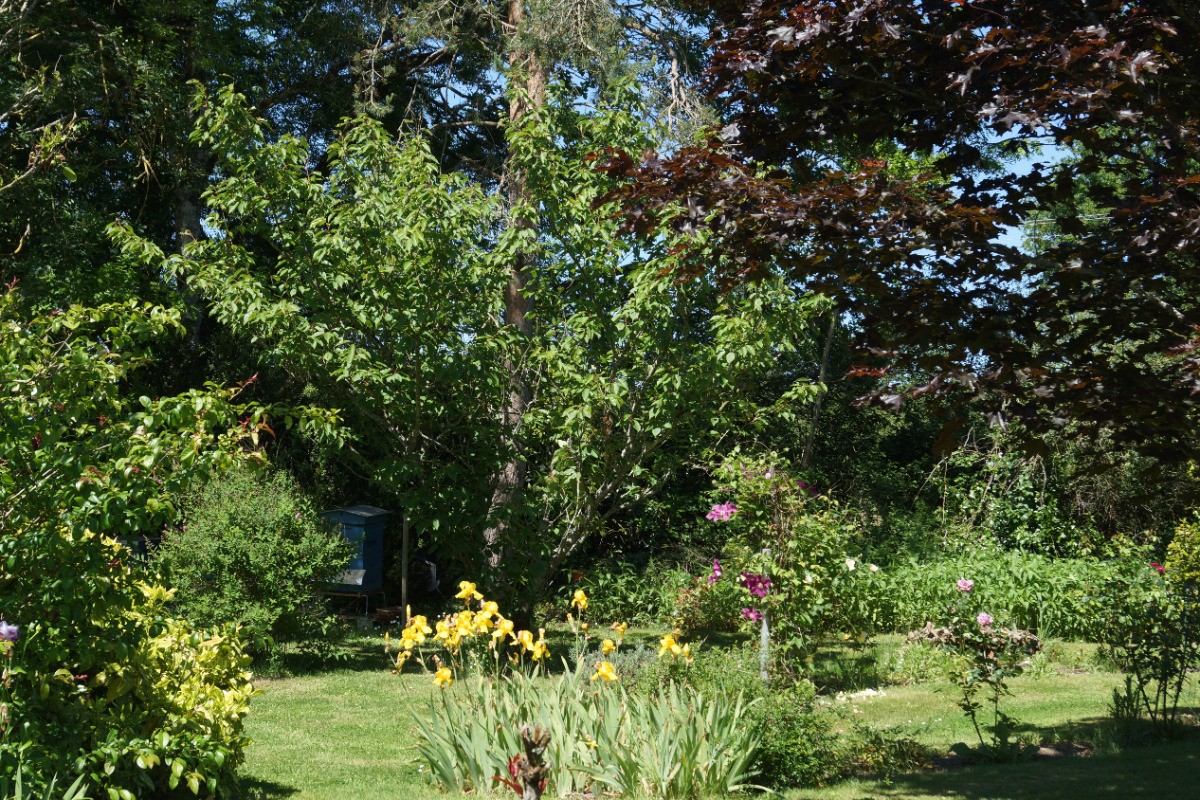 le jardin