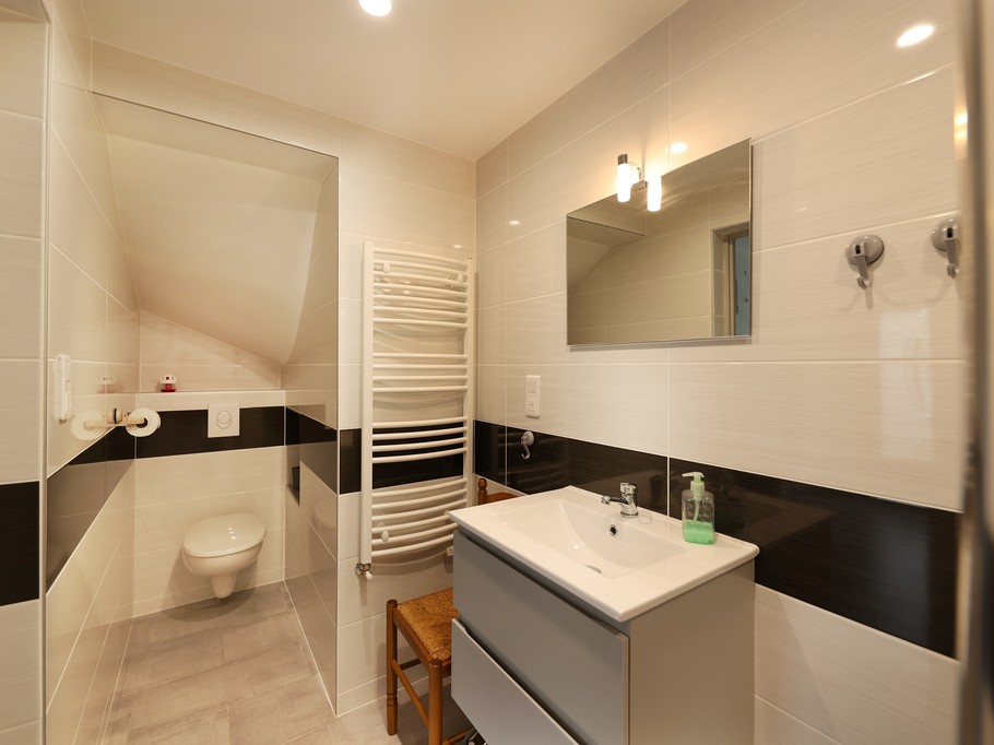 Shower room - Gîte with terrace, in a peaceful setting in the heart of nature, near Gérardmer