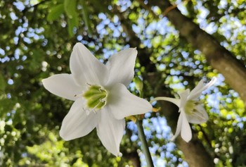 Espaces extérieur commun