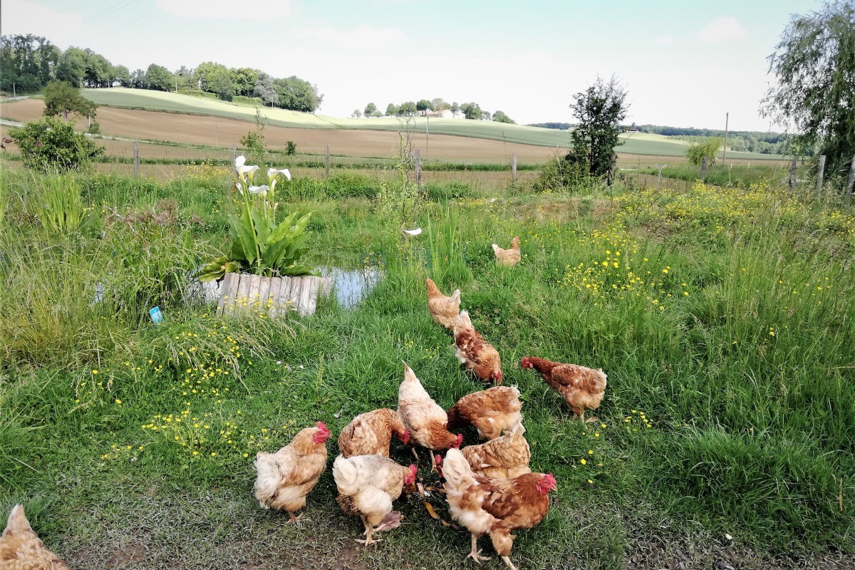 Photo n° 10 de la location