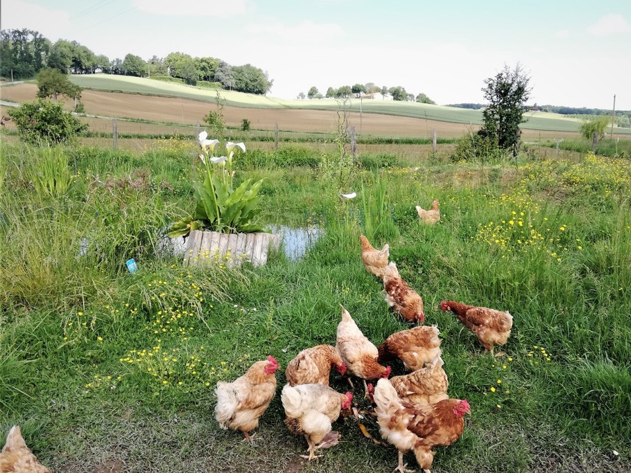 Photo n° 10 de la location