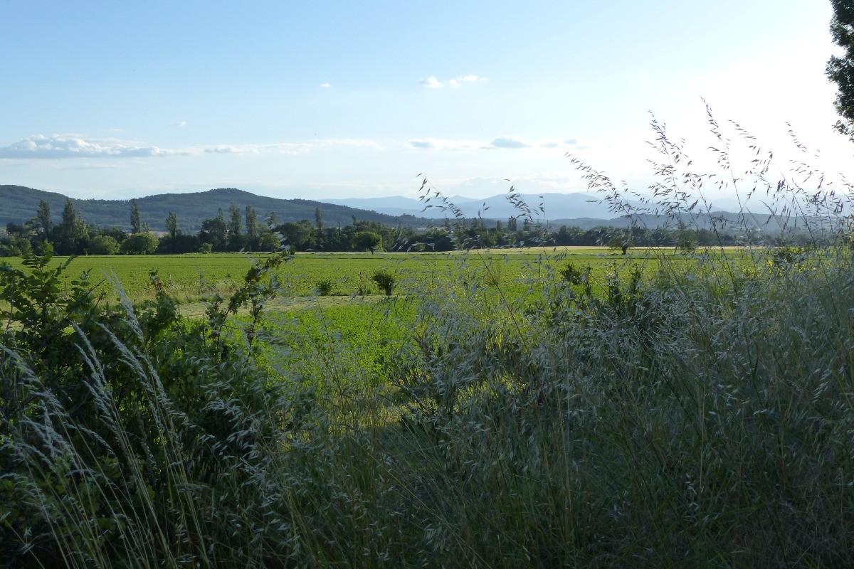 Photo n° 19 de la location