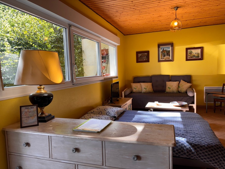 Salon  - Gites de Ban - Studio Ecureuil