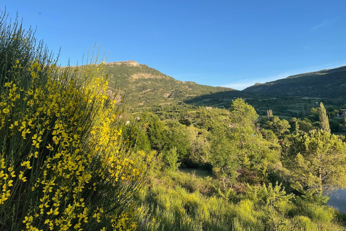 Vue sur les montagnes