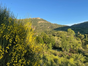 Vue sur les montagnes
