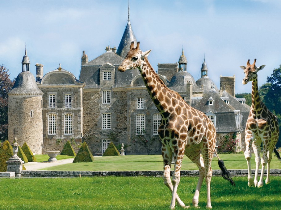 Parc zoologique et Château de la Bourbansais