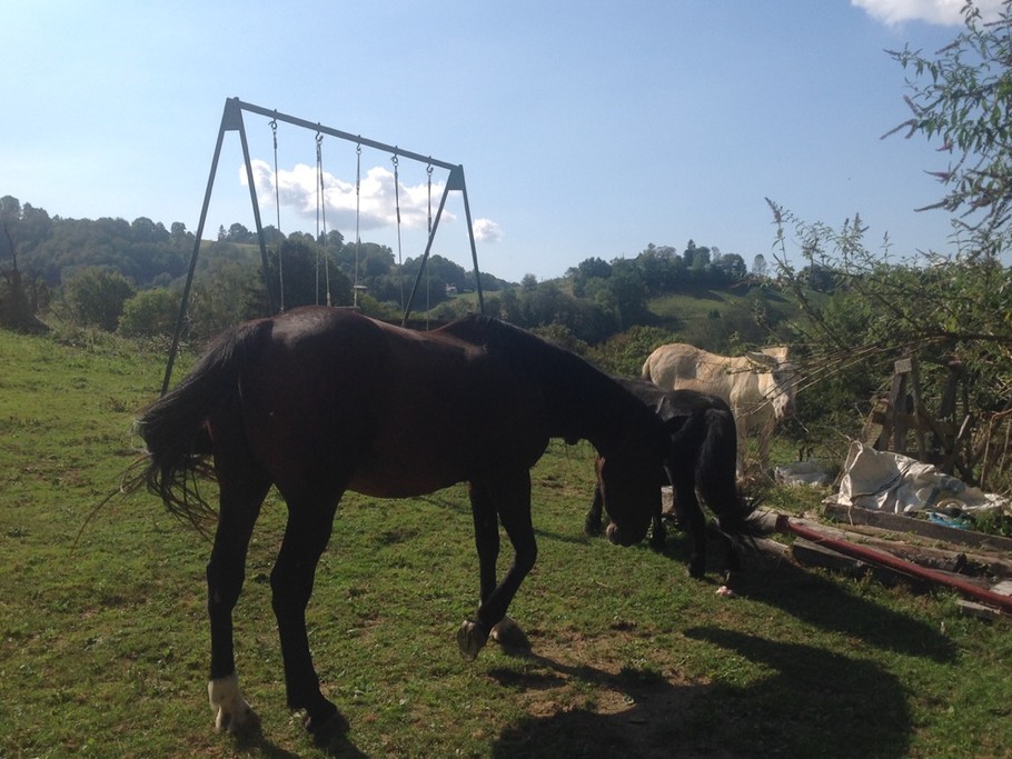 Photo n° 16 of the location