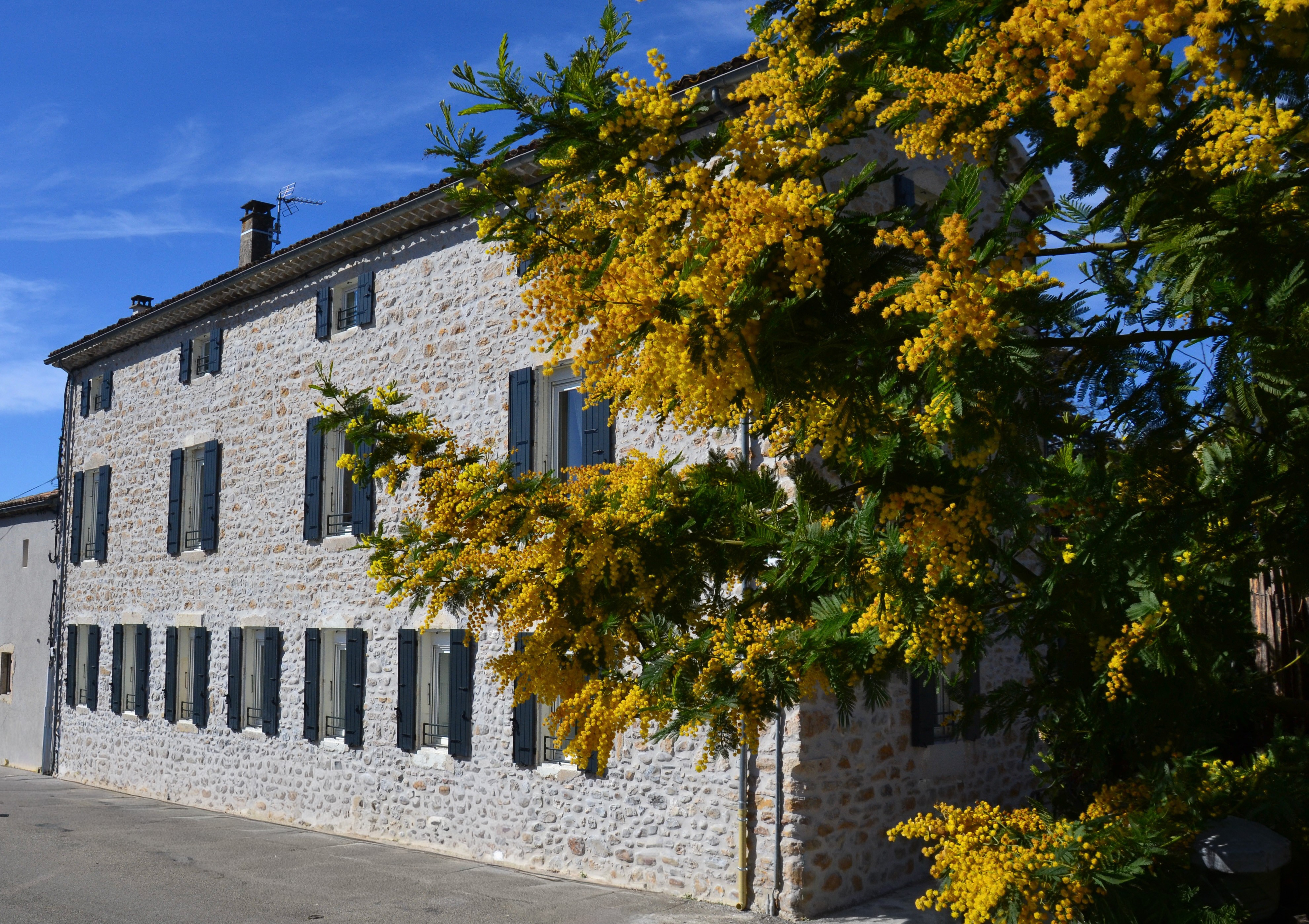 Photo n° 10 de la location