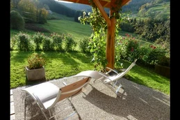 Terrasse et bains de soleil