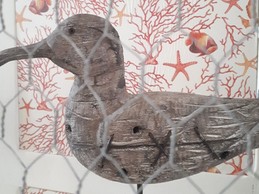 Image n° 4 de la location