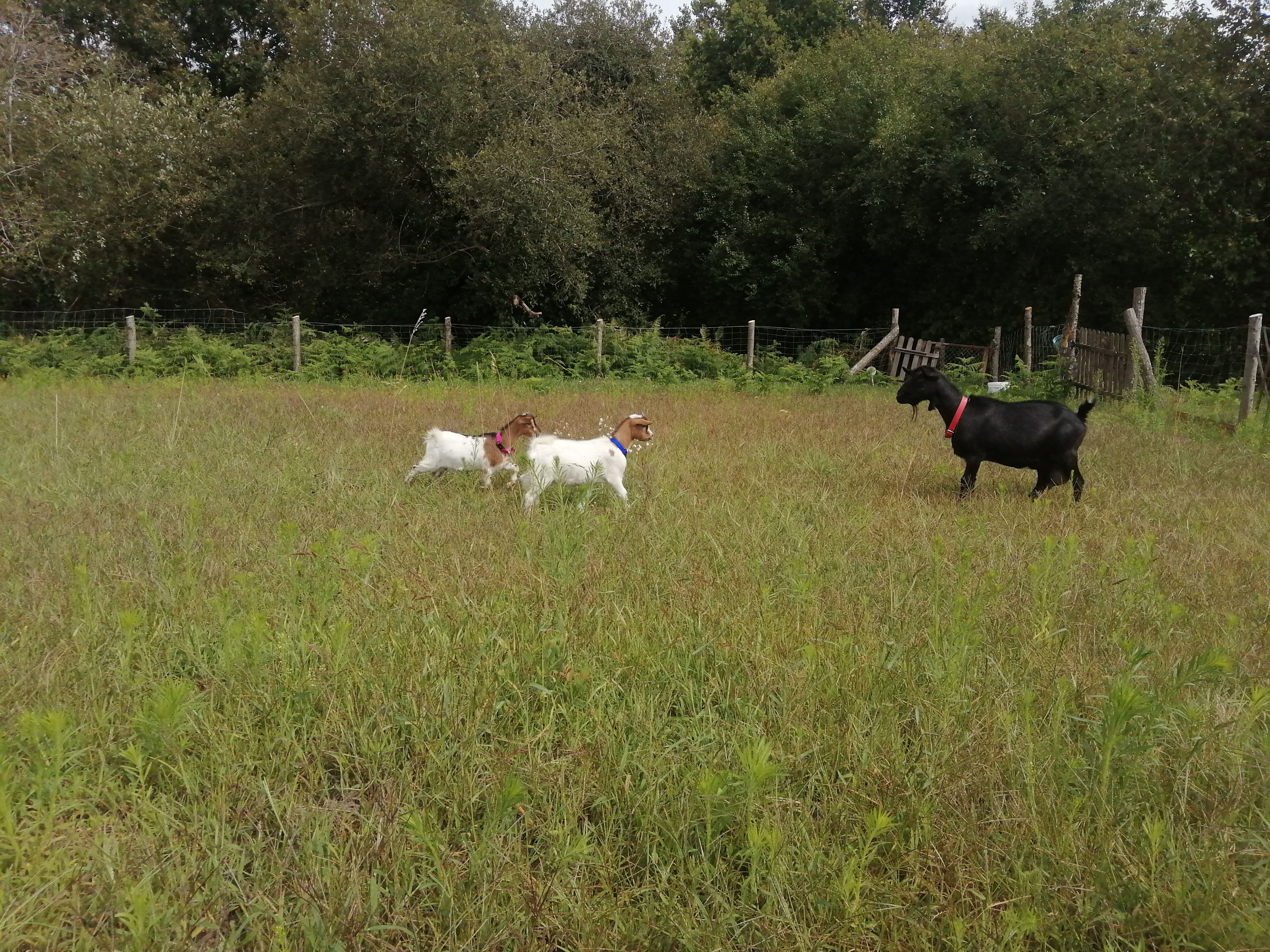 Photo n° 18 de la location