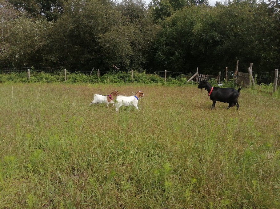 Photo n° 18 de la location