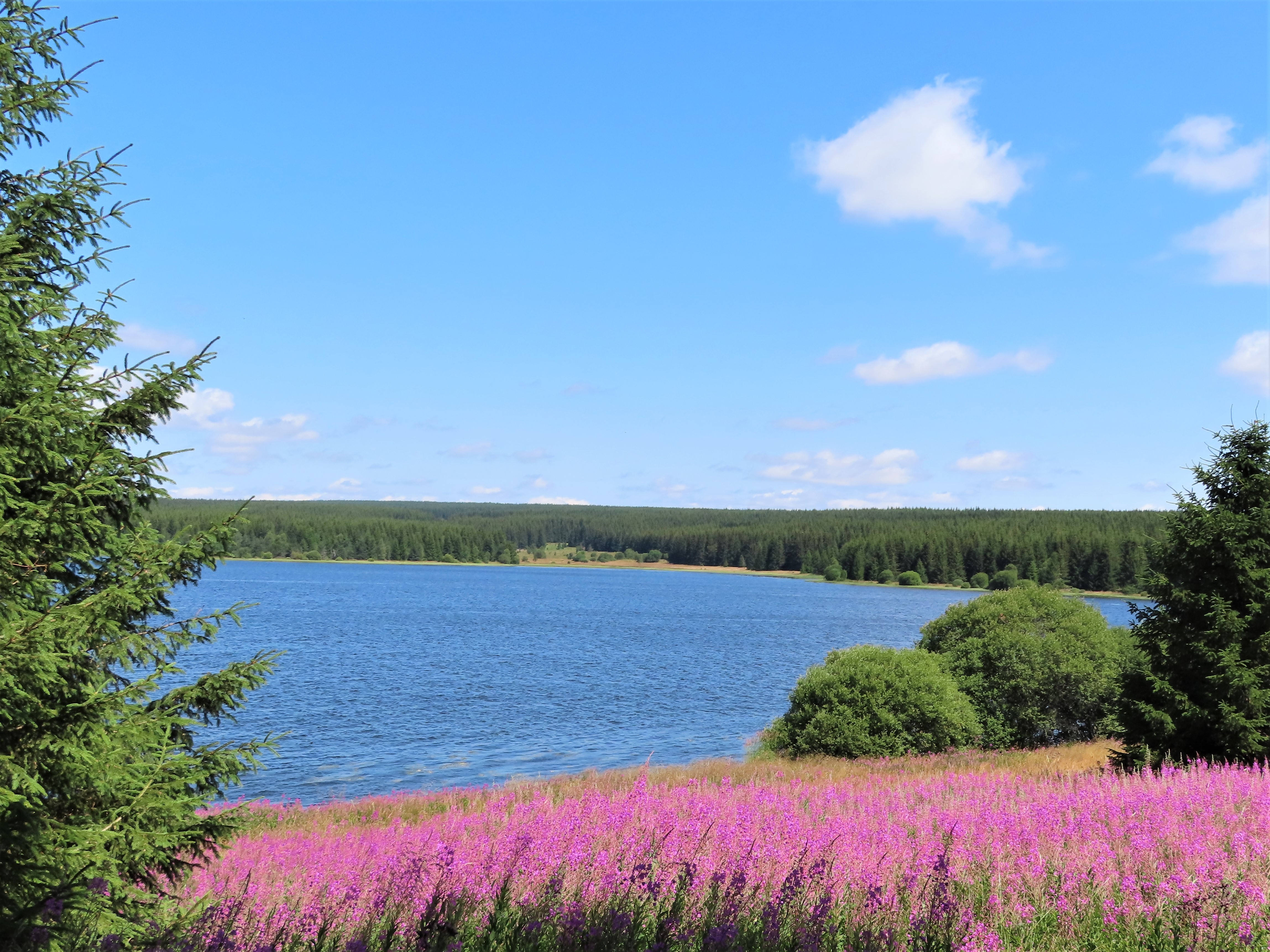 lac de Charpal