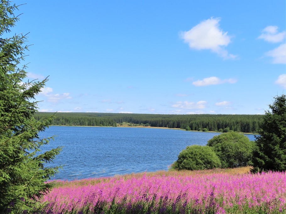 lac de Charpal