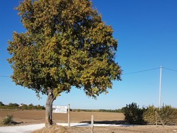 Arrivée à la Vidalie