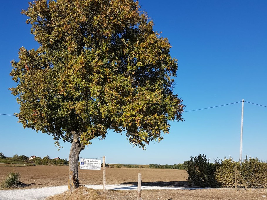 Arrivée à la Vidalie
