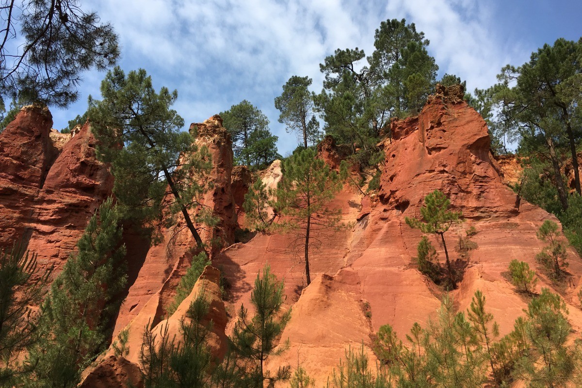 Photo n° 15 de la location