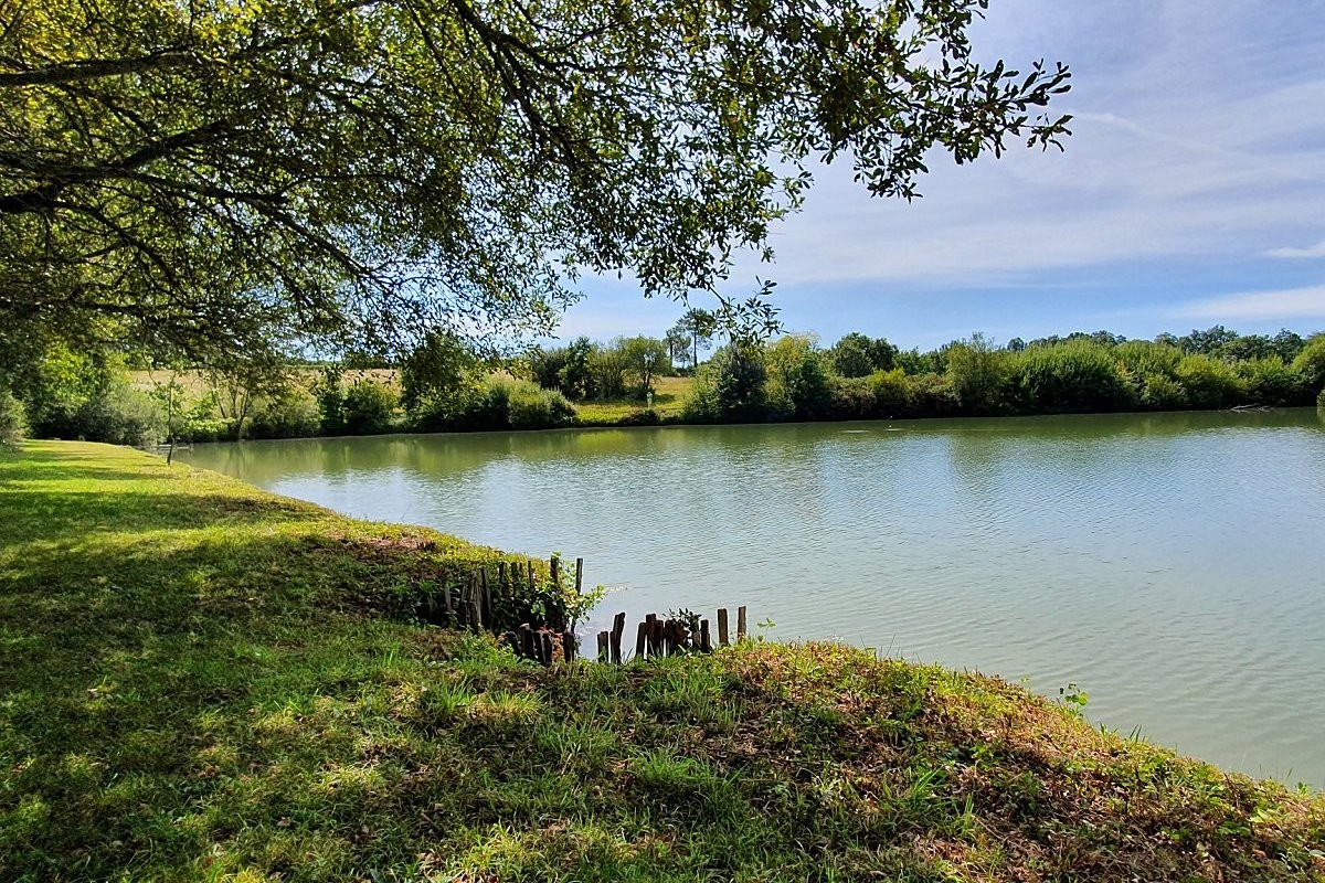 Photo n° 9 of the location