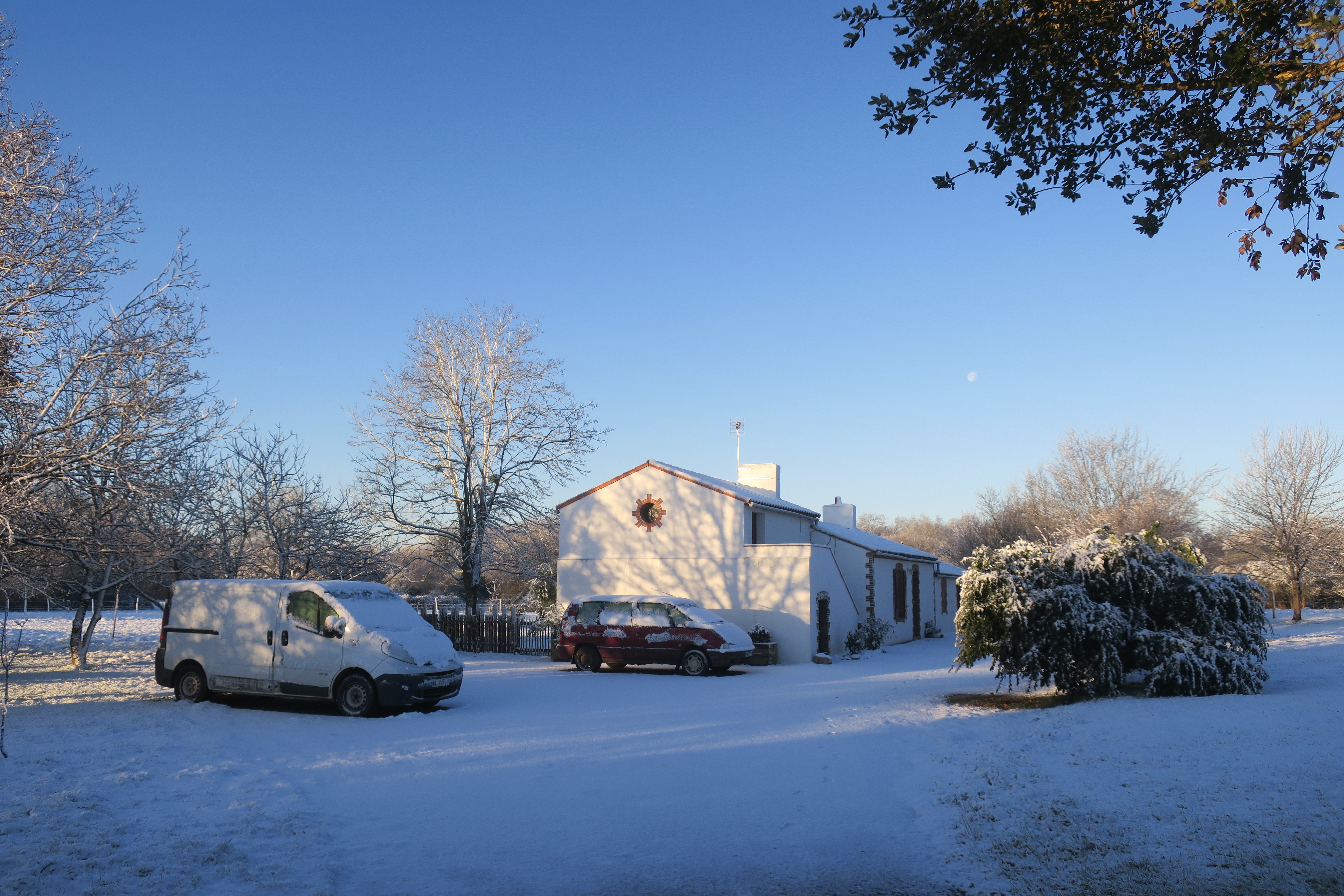 Winter view under the snow