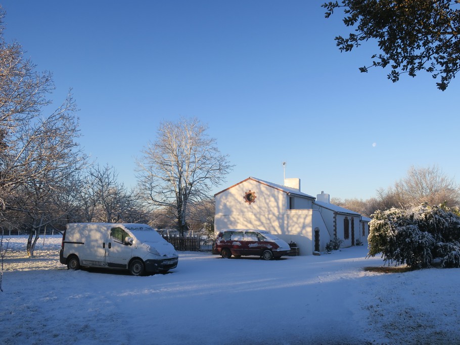 Winter view under the snow