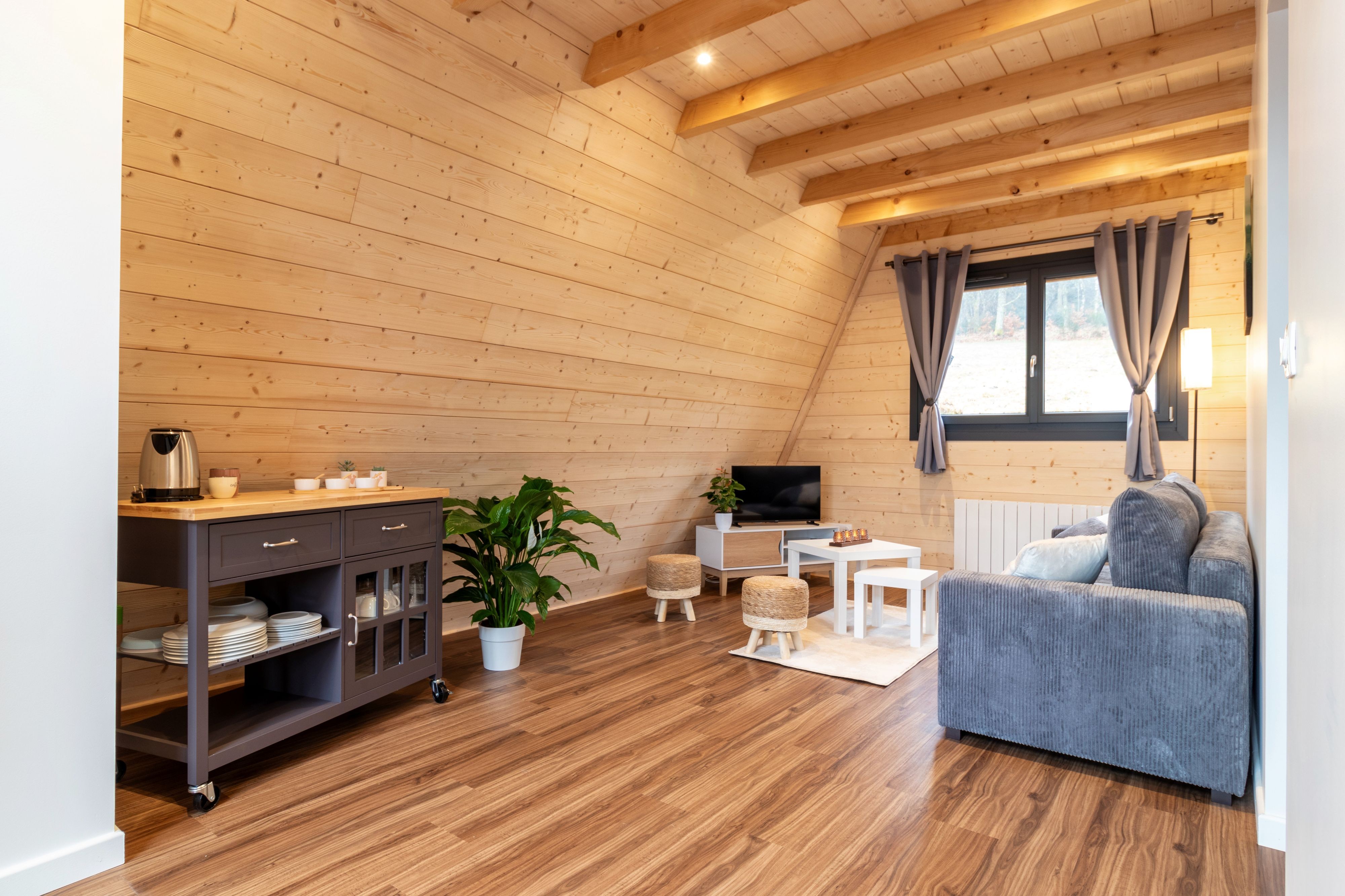 Salon - Chalet à l'Orée des Biches - Anould - Vosges
