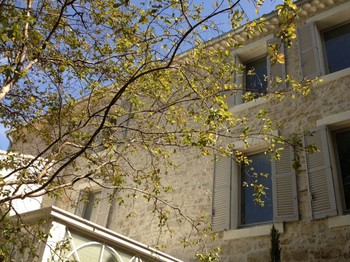 Photo n° 14 de la location