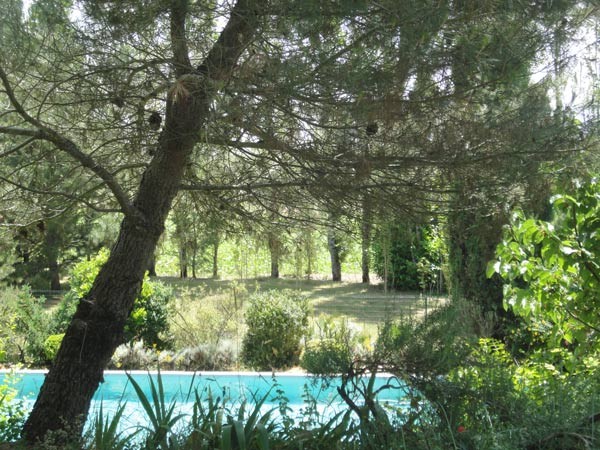 Piscine  - Virac - Tarn