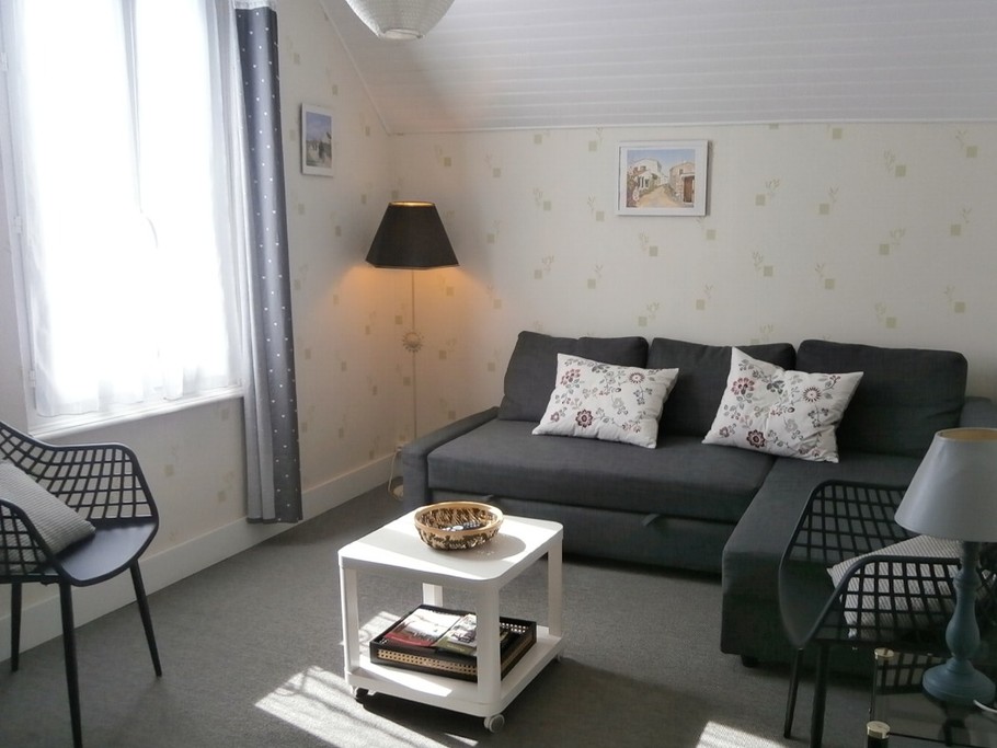 SALON avec canapé convertible 2 places avec TV