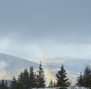 Environnement- Chalet Salamandre