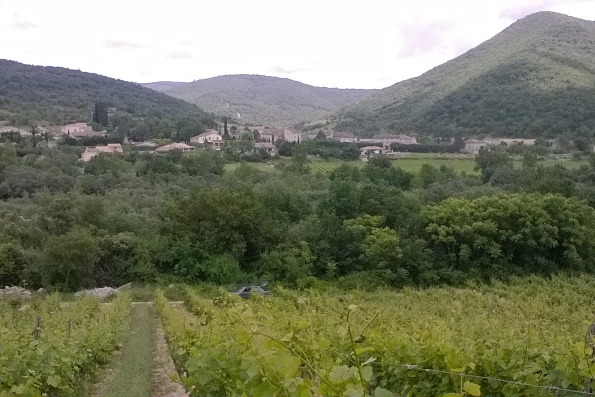 La Dame Blanche - Chambre Cordon de Royat - Les environs
