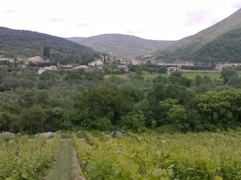 La Dame Blanche - Chambre Cordon de Royat - Les environs