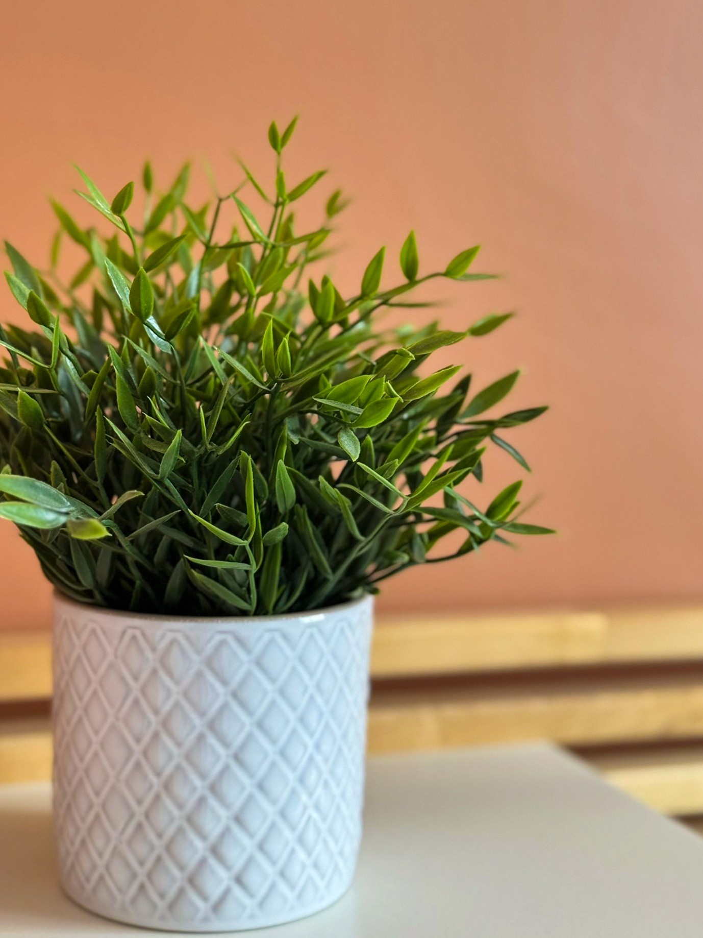 Photo n° 12 of the location