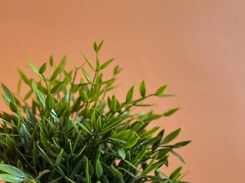 Photo n° 12 of the location