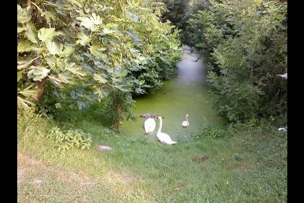 Photo n° 15 de la location