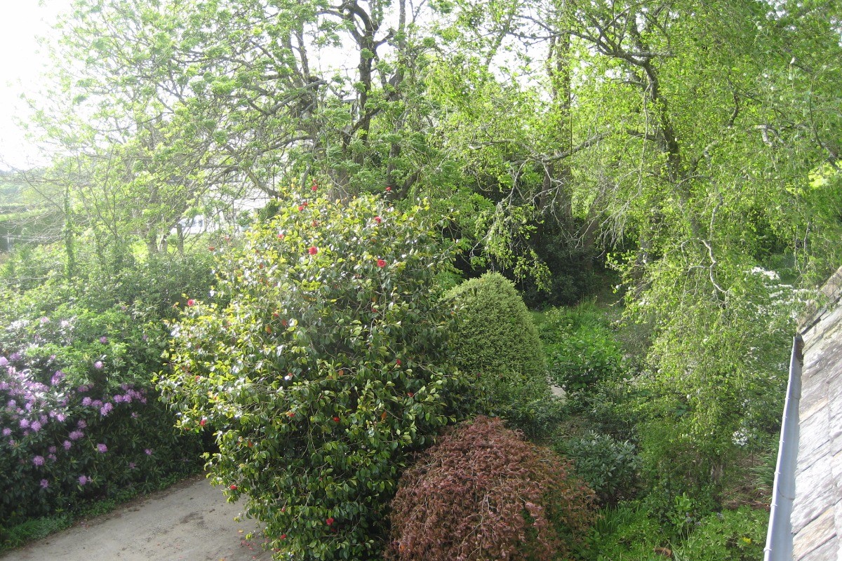 grand jardin fleuri et paysagé