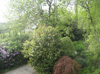 grand jardin fleuri et paysagé