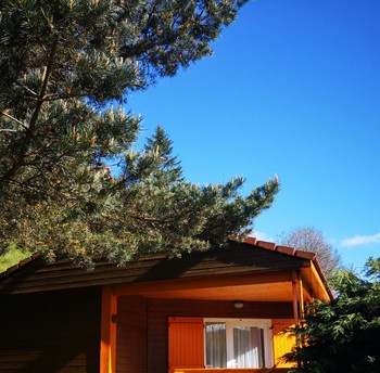 Photo n° 2 de la location