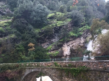 Photo n° 12 de la location