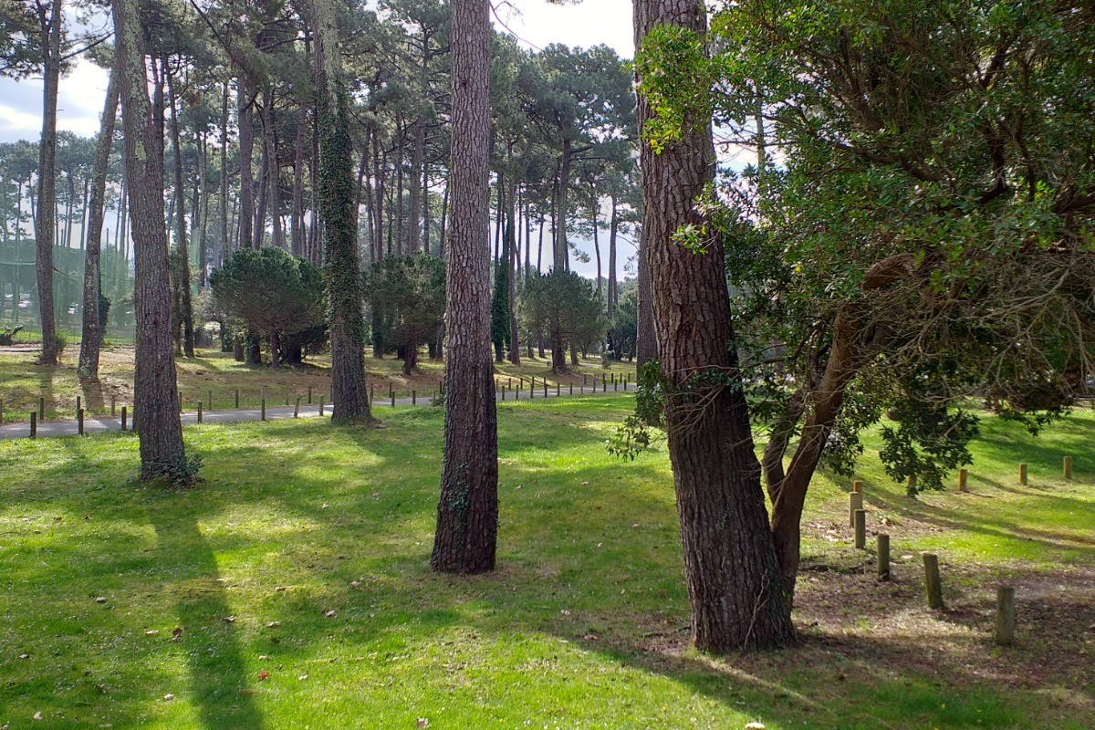 Sous bois de Pins à  côté du golf à 2mn à pied de l'appartement