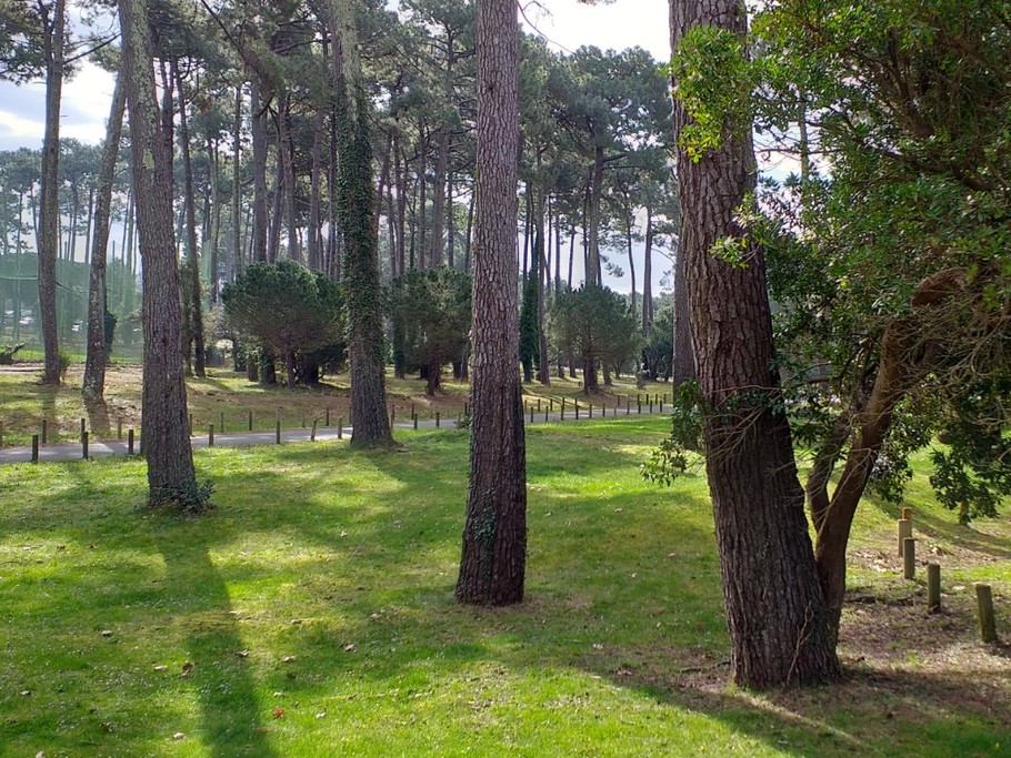 Sous bois de Pins à  côté du golf à 2mn à pied de l'appartement