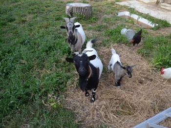 Photo n° 17 de la location