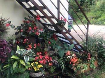 La montée d'escaliers menant à "Chanteclair".