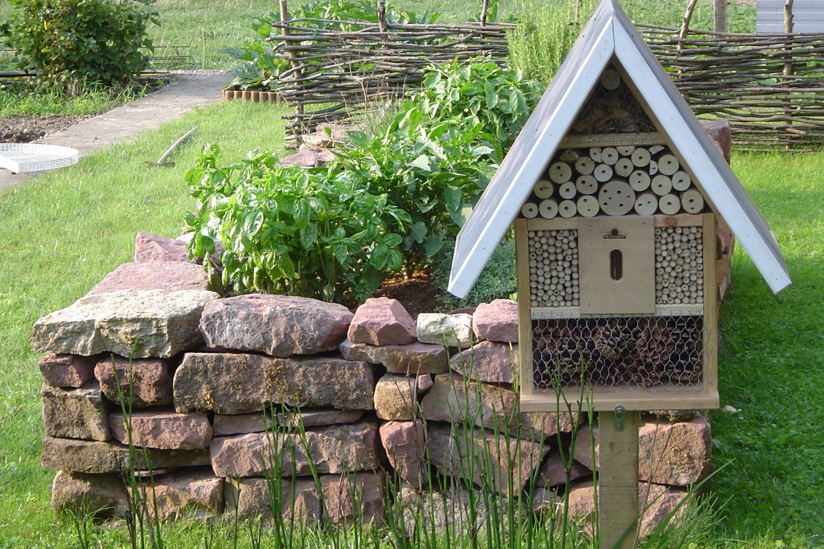jardin