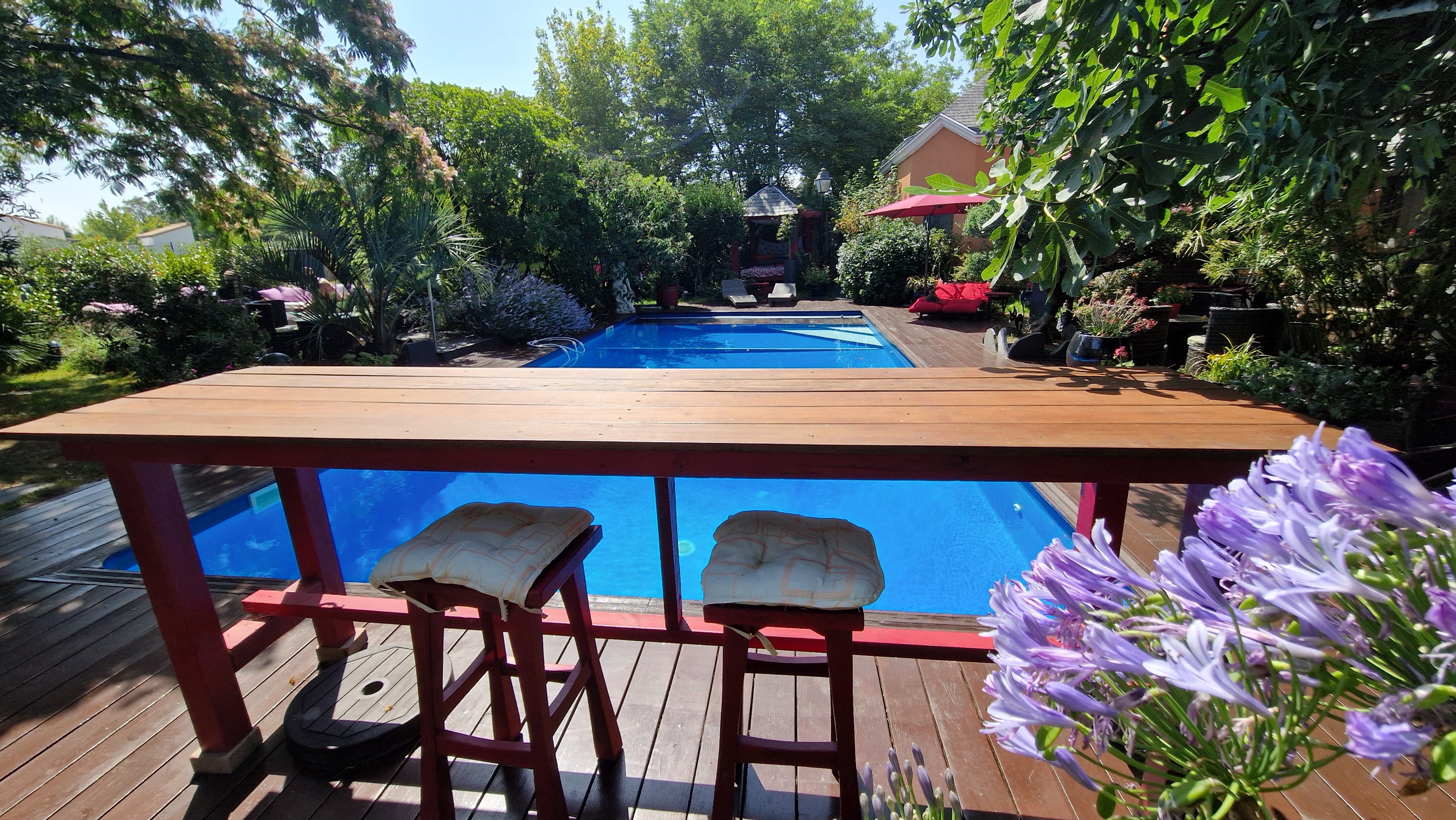 Terrasse et piscine