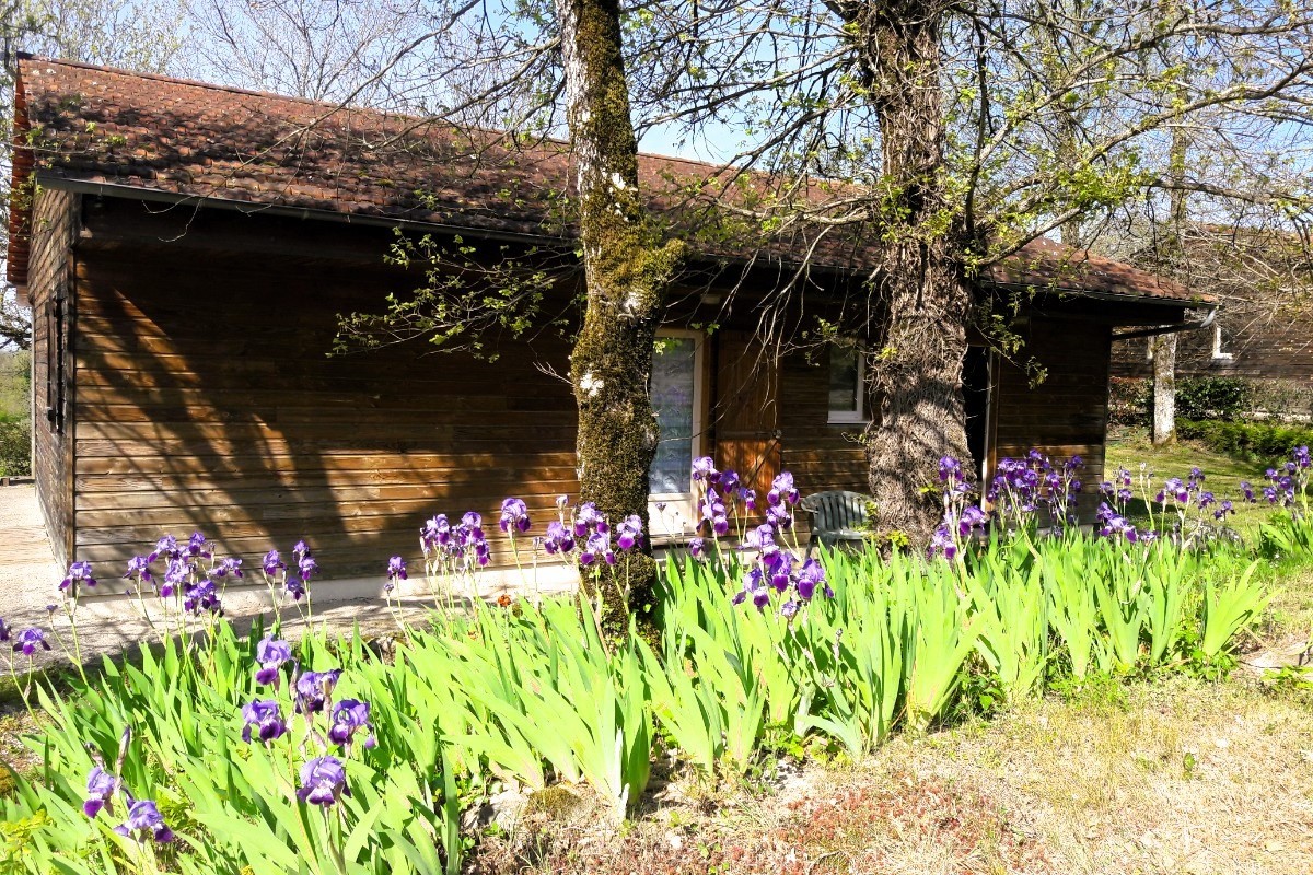 Photo n° 2 of the location