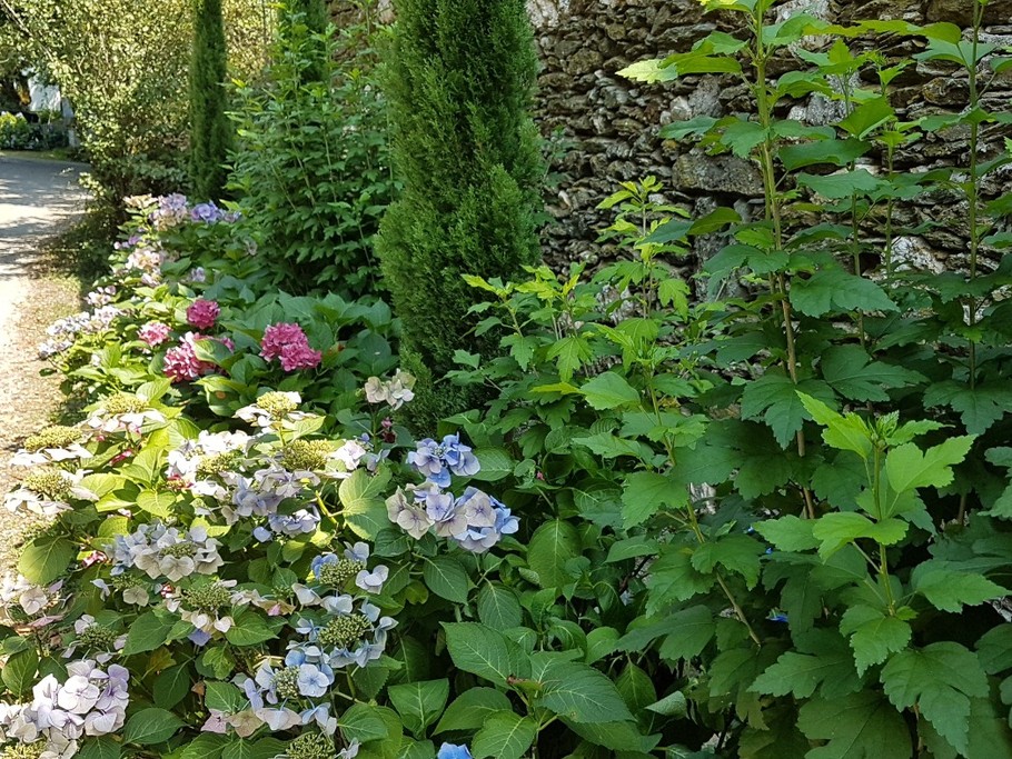 Allée d'accès a l'oustal