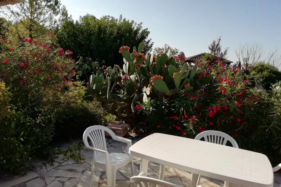 terrasse devant salon