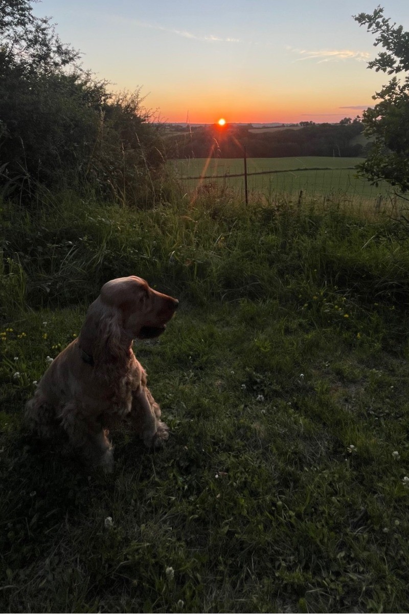 Maison d'hôtes Le Hour - Coucher de soleil